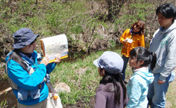 ネイチャーガイドウォーク