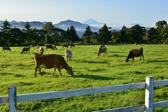 けもの道トレッキングde婚活in清里