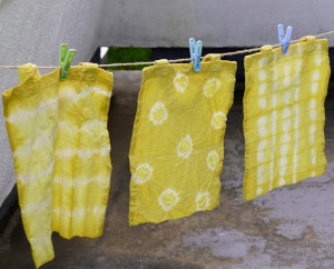 レンジャー入門