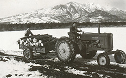 リビングヒストリーツアーの様子