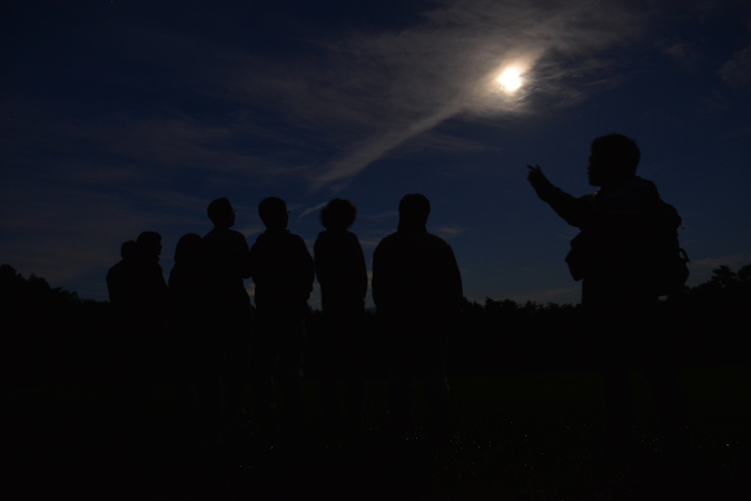 まっくら夜さんぽ