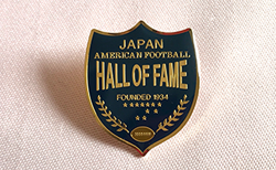 アメリカンフットボールの殿堂オリジナルピンバッヂの画像