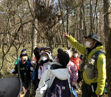 ヤマネの住む森を学ぶガイドウォーク②