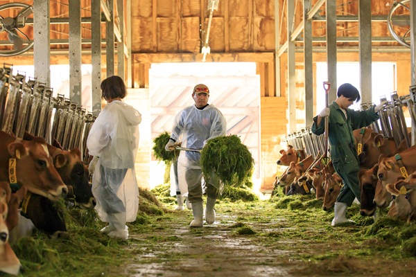 ふれあい＆集牧体験